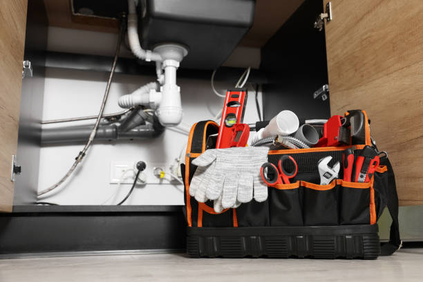 Best Local Plumber Services  in Valrico, FL